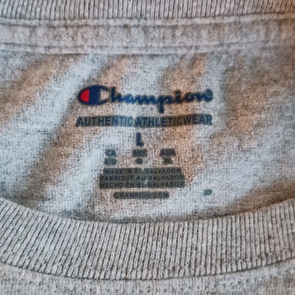 T Shirt Stonehill College Easton MA Champion Authentic Athleticwear Size L Large - Picture 4 of 5